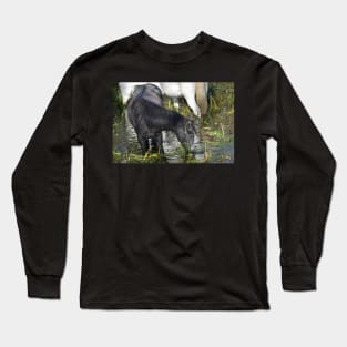 Wild Horse Long Sleeve T-Shirt